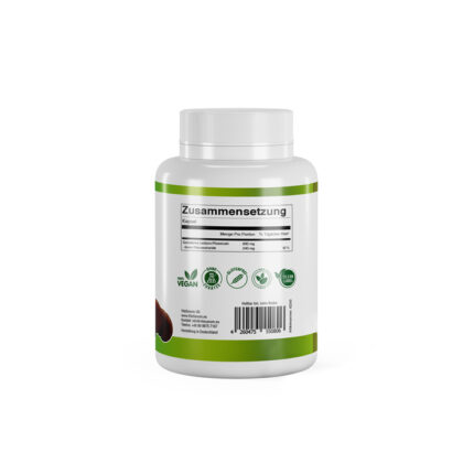 VitaSanum® - Reishi (Ganoderma lucidum) 600 mg 60 Kapseln