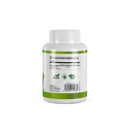 VitaSanum® - Schachtelhalm Horsetail (Equisetum arvense) 500 mg 90 Kapseln