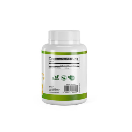 VitaSanum® - Gingko (Ginkgo biloba) 500 mg 60 Kapseln