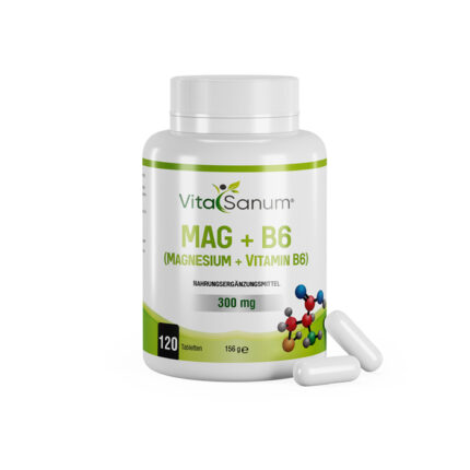 VitaSanum® - MAG + B6 300 mg 120 Tabletten