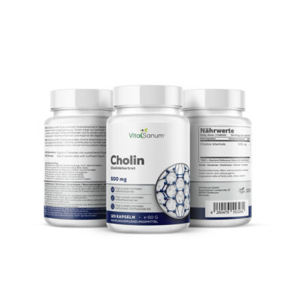 VitaSanum® Cholin 500 mg – Cholinbitartrat – 120 Kapseln