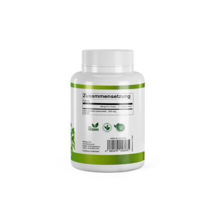 VitaSanum® - Andrographis (Andrographis paniculata) (Kalmegh) 500 mg 90 Kapseln