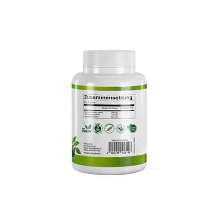 VitaSanum® - Schwarzer Holunder (Sambucus nigra) 330 mg 90 Kapseln