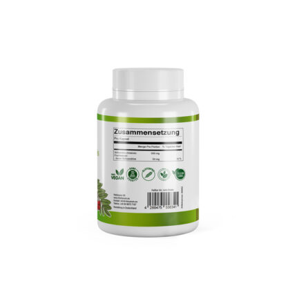 VitaSanum® - Schisandra chinensis (Chinesischer Limonenbaum) 500 mg 90 Kapseln