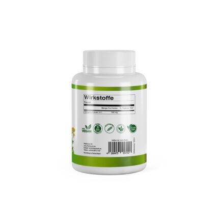 VitaSanum® - Astragalus (Astragalus membranaceus) 500 mg 100 Kapseln