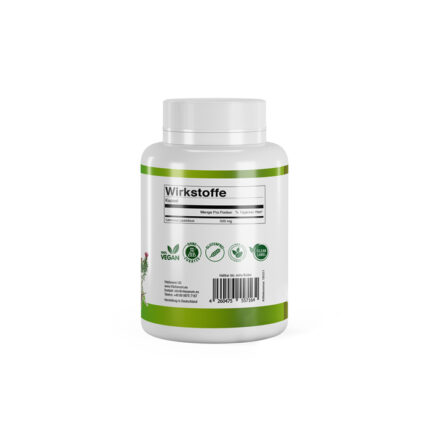VitaSanum® - Chinesischer Löwenschwanz (Leonurus japonicus) 500 mg 100 Kapseln