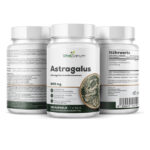 VitaSanum® – Astragalus (Astragalus membranaceus) – 1000 mg Tagesportion – 100 vegane Kapseln