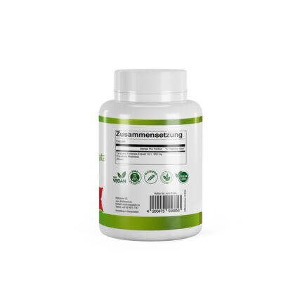 VitaSanum® - Caralluma Fimbriata (Caralluma adscendens) 500 mg 100 Kapseln