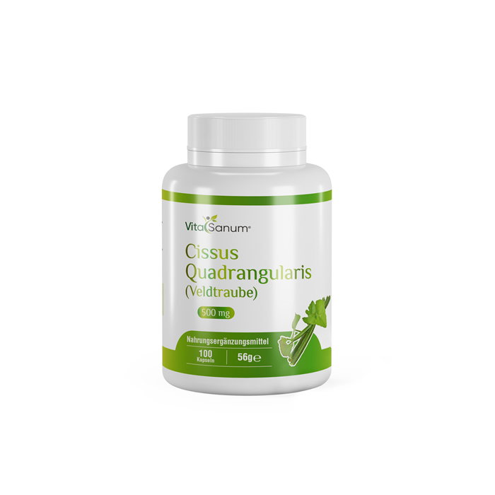 VitaSanum®- Cissus Quadrangularis (Veldtraube) 500 mg 100 Kapseln VitaSanum®- Cissus Quadrangularis (Veldtraube) 500 mg 100 Kapseln
