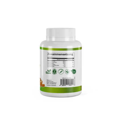 VitaSanum®- Curcumin + Schwarzer Pfeffer + Ingwer 600 mg 90 Kapseln