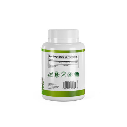VitaSanum®- Rutin (Sophora japonica) 500 mg 100 Kapseln