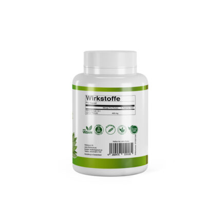 VitaSanum®- Salbei-Extrakt (Salvia japonica) 400 mg 100 Kapseln