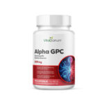 VitaSanum® Alpha-GPC (L-α-Glycerylphosphorylcholin) – 500 mg Tagesportion – 90 Kapseln