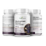 VitaSanum® Schwarze-Johannisbeer-Fruchtextrakt 20–30:1 500 mg pro Tagesportion
