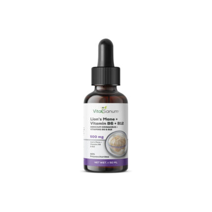 VitaSanum® Lion's Mane + Vitamin B6 + B12 Liquid – 3 ml Tagesportion